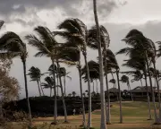 Tropical Storm Lala lashes Hawaii after hurricane downgrade