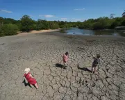 UK braces for fifth heatwave as Cobra meeting called