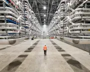 UK Energy Security Risk: Interconnector Politics and Heatwaves