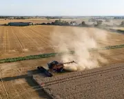 UK faces food shortages as drought persists, farmers warn