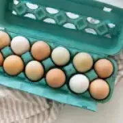 UK Salmonella Outbreak: Is It Safe to Eat Eggs? One Dead, 207 Cases Reported