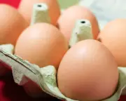 UK salmonella outbreak: one dead, 207 ill, linked to imported eggs