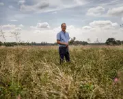 UK turns to imports as drought and heat hit vegetable crops
