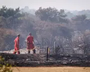 UK wildfires: firefighters need government leadership, not just praise
