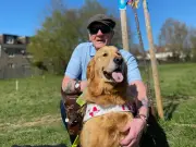 Vandals Destroy Memorial Tree for Guide Dog in Croydon Park; Council Vows to Replace It