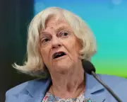 Widdecombe murder suspect linked to Farage burglary probe