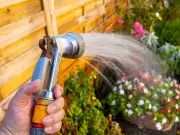 Woman's Hosepipe Ban Shock: Neighbour Demands Proof