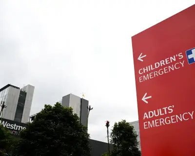Child dies in Blue Mountains stabbing; three critical