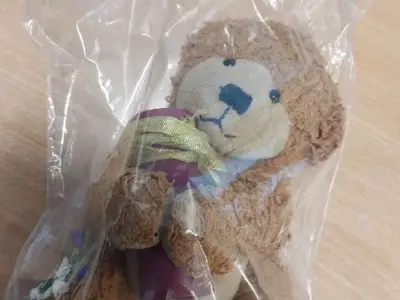 Dog's ashes urn found on London train to be reunited with owner