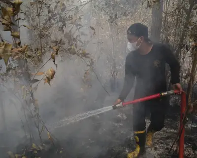 El Niño Threatens Record Heat, Bond Markets Jittery, Steinem Dies at 92