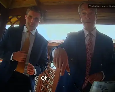 Farage aides stand down after undercover donation probe
