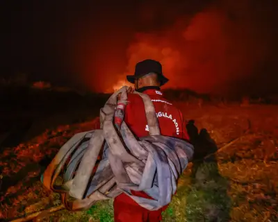 Indonesia wildfires: haze spreads, 9 orangutans evacuated