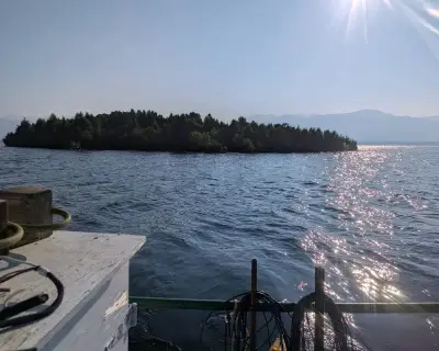 Mysterious floating island reappears 20 miles away in Canadian lake