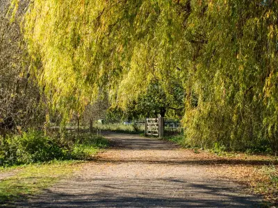 Walthamstow Wetlands: London's Cutest Free Hidden Gem