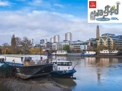 West London canal sewage linked to dead animals, Brentford residents say