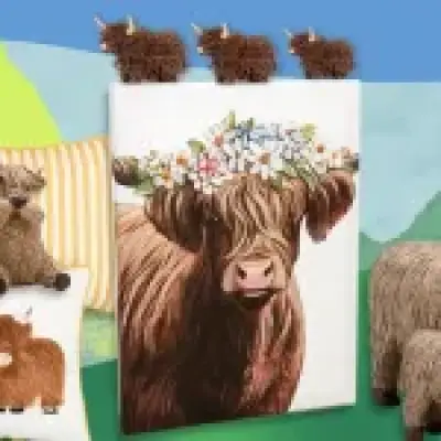 Why Highland cows have taken over UK homeware stores
