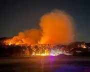 Australia must treat extreme heat like bushfire, says NSW climate chief