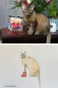 Bad Pet Portraits Become Full-Time Job for Former Estate Agent