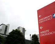 Child dies in Blue Mountains stabbing; three critical