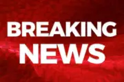 Croydon College Lockdown: Police Hunt Teen After Machete Report