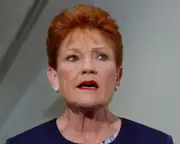 Hanson apologises for 'primitive race' remarks after backlash