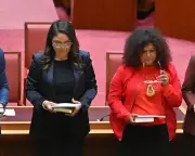 Hanson's 'primitive race' remarks condemned by Indigenous senators