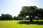 Haringey playground upgrades: 4 parks to get accessible play areas