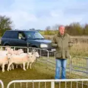 Jeremy Clarkson's farm hit by sheep rustlers, 11 Easycares stolen