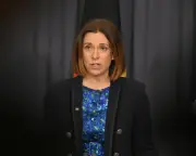 Labor's social media algorithm crackdown faces opposition