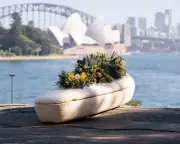 Mushroom coffin burial in Australia: eco-friendly first