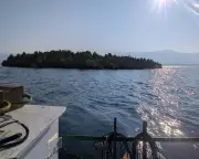 Mysterious floating island reappears 20 miles away in Canadian lake