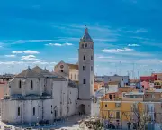 Northern Puglia Food Tour: Burrata, Olive Oil, and More