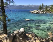 Otter attack at Lake Tahoe leaves swimmer with 38 stitches