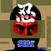 Six Most Ridiculous Ninja Games of the 80s, Ranked