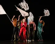 Strong is the New Pretty review: Suzie Miller's AFLW play shocks and delights