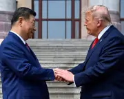 Trump and Xi Urged to Lead Global AI Regulation