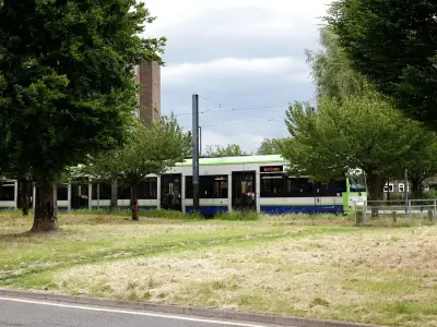 Croydon tram line to close for 13 days for track renewal