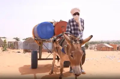 Donkey's-eye view video reveals harsh life of working animals