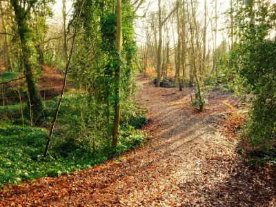High Elms Country Park: 250 acres of woodland with Gruffalo trail 25 mins from London