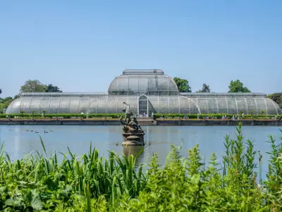 Kew Gardens launches £1m appeal to save iconic Palm House