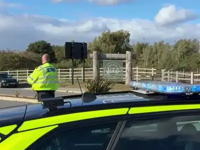Man Seriously Injured After Entering Tiger Enclosure at Yorkshire Wildlife Park