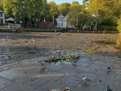 Sutton Council admits uncertainty over Carshalton Ponds overnight drainage