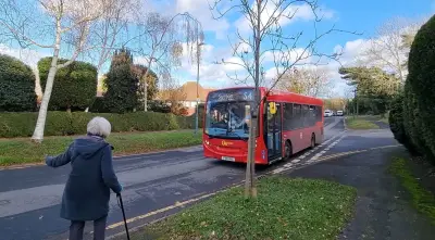 Sutton's overcrowded S4 bus route to get extra peak services