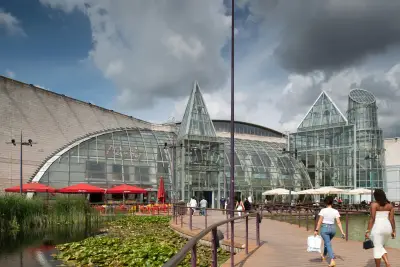 Tapas Revolution Bluewater still flagged for dirty shelves after cockroach issue