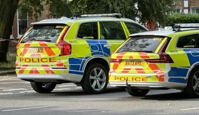 Teen in Critical Condition After Charlton Stabbing; Three Arrested