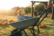 Best pumpkin patches near south east London for Halloween 2026