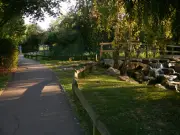 Haringey parks: outdoor classrooms vital for children's development