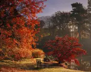 High Weald named England's third best autumn colour spot