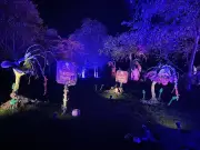 Kew Gardens Halloween trail 2026: A terrifyingly magical experience