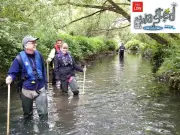 London's hidden river pollution: citizen scientists uncover sewage misconnections